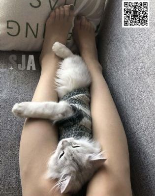 妙女兵