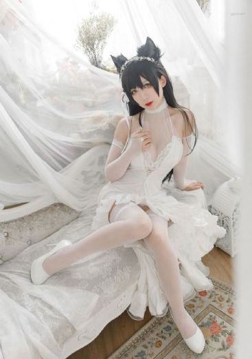 gav不用播放器