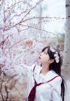 凤归巢短剧